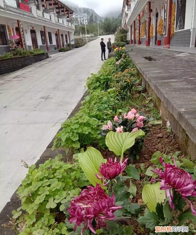 氓产生的地域是哪里