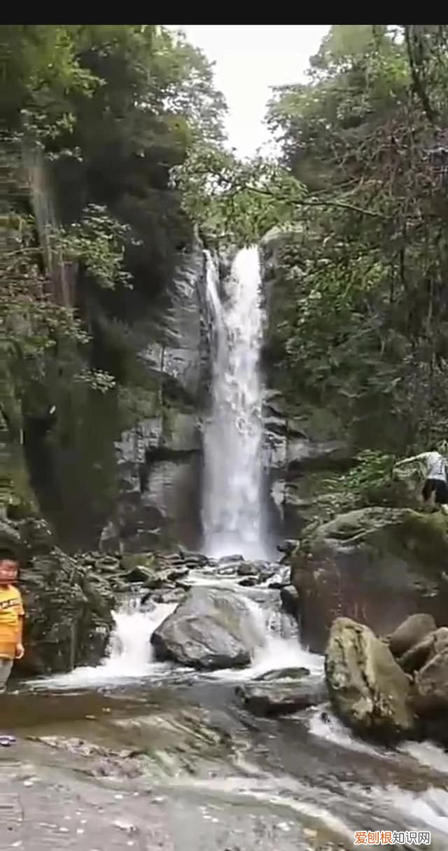 氓产生的地域是哪里