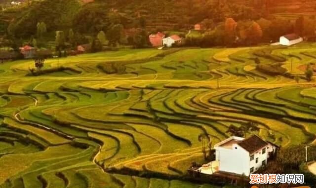 氓产生的地域是哪里