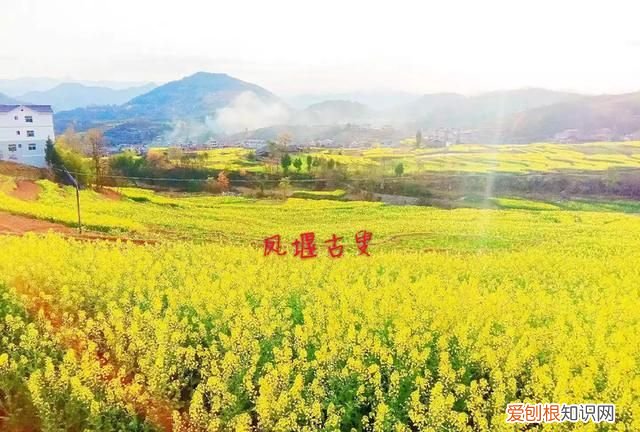 氓产生的地域是哪里