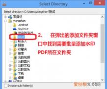 pdf应该怎样才可以插入图片