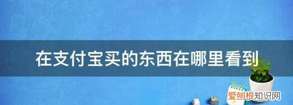 在支付宝买的东西在哪里看到,支付宝购买的东西在哪里查看订单