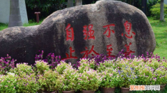 止于至善是人的一种什么