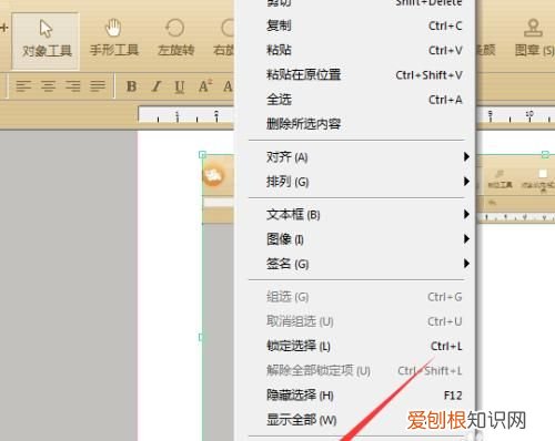 极速pdf编辑器怎么插入图片，pdf应该怎么样才可以插入图片