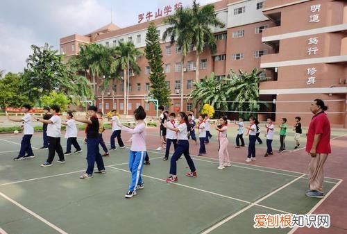 海口罗牛山学校怎么坐车,罗牛山学校教学质量怎么样