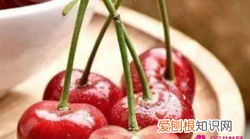 低血压吃什么水果好