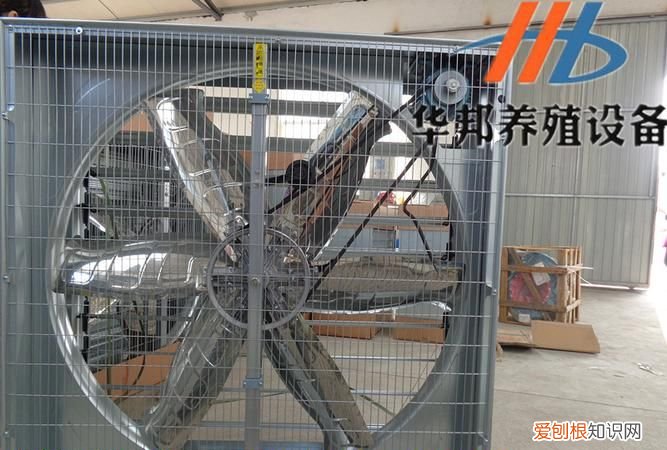 冬季鸡舍几分钟开一次风机,如何控制好养鸡场的鸡舍内通风量