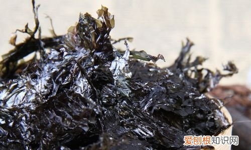 干紫菜用热水泡还是冷水泡，紫菜泡出来的水铁锈色正常