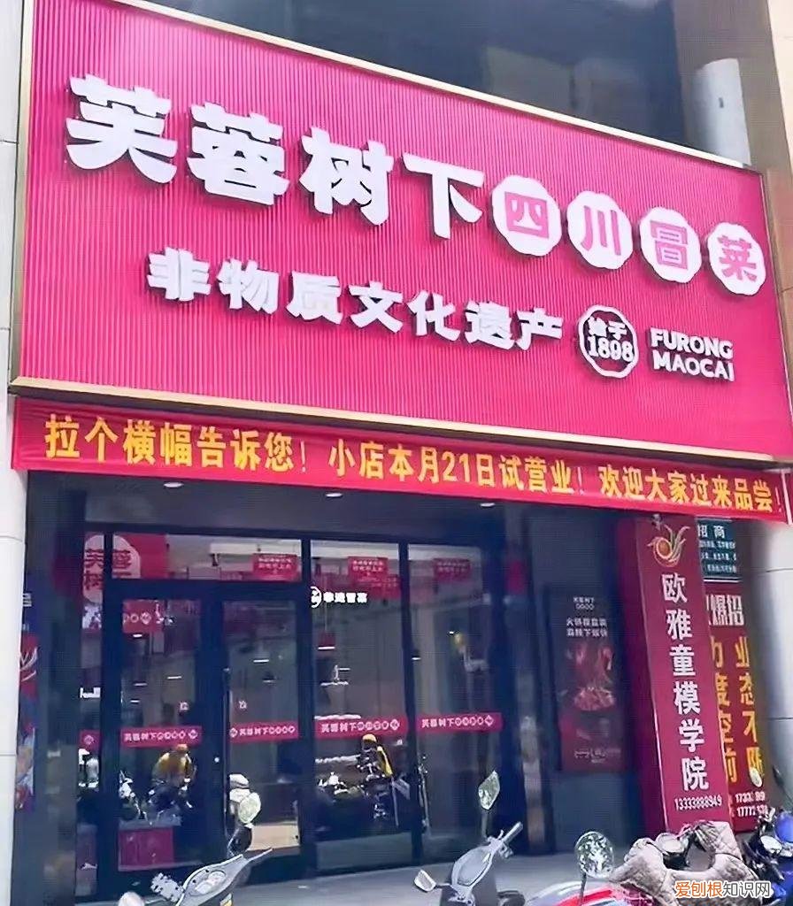 芙蓉树下冒菜官网