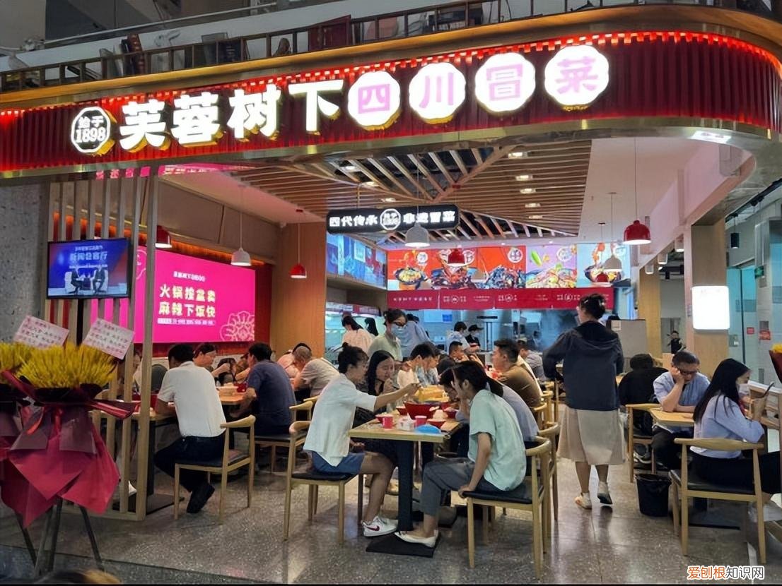 芙蓉树下冒菜官网