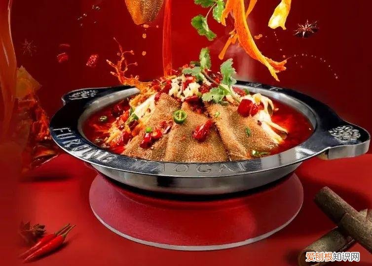 芙蓉树下冒菜官网