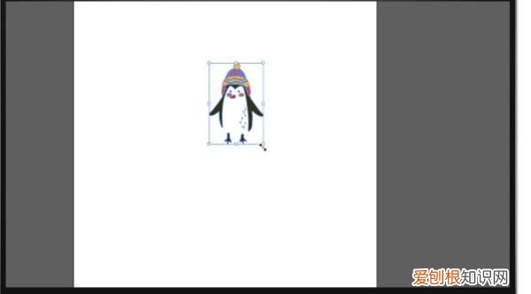 ai该如何才可以把图片转矢量图