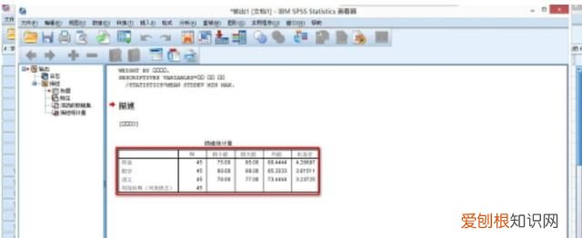 SPSS如何对变量加权