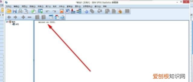 SPSS如何对变量加权