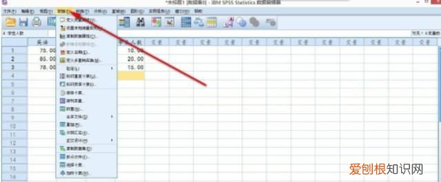 SPSS如何对变量加权
