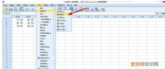 SPSS如何对变量加权