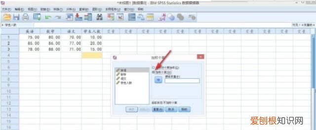 SPSS如何对变量加权