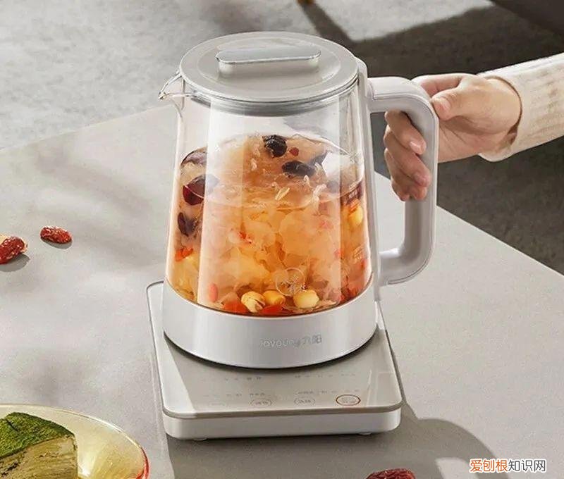 养生壶哪个牌子好质量好又安全