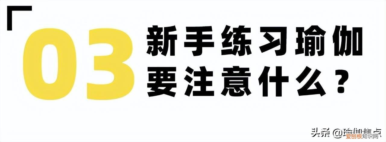 瑜伽入门视频 基本 初学者