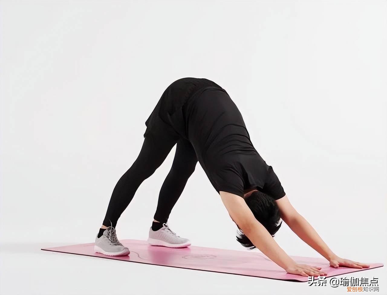 瑜伽入门视频 基本 初学者