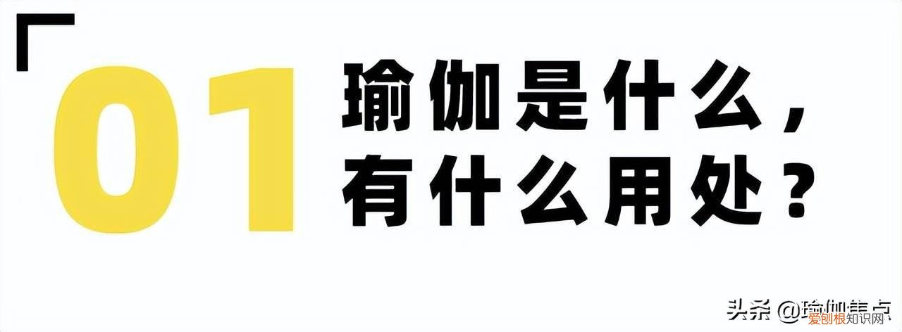 瑜伽入门视频 基本 初学者