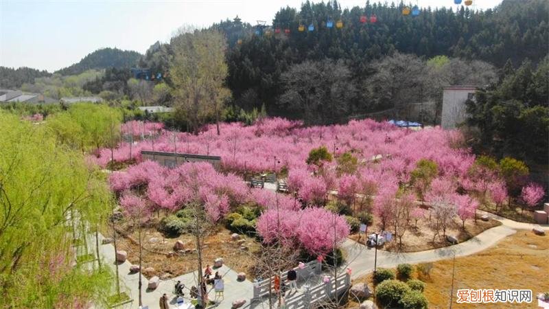 文化公园地铁站几号线