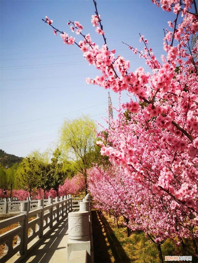 文化公园地铁站几号线