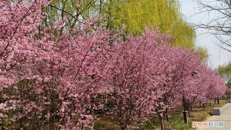 文化公园地铁站几号线