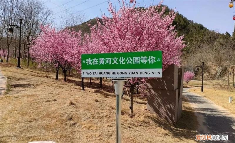 文化公园地铁站几号线