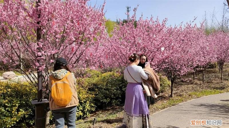 文化公园地铁站几号线