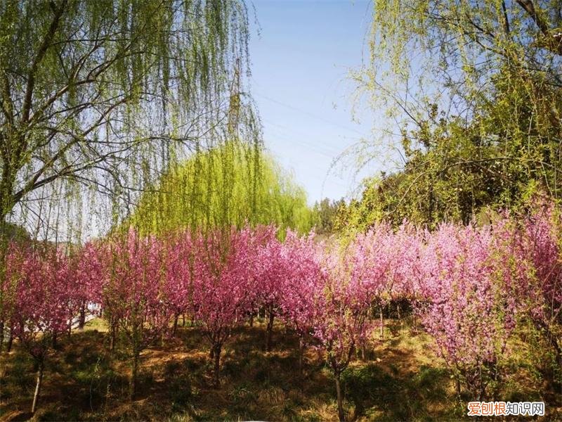 文化公园地铁站几号线