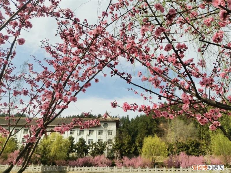 文化公园地铁站几号线