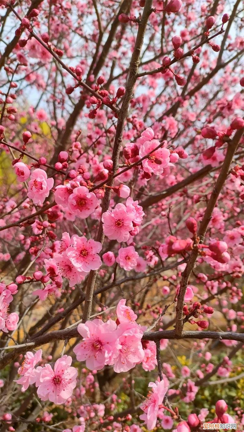 文化公园地铁站几号线