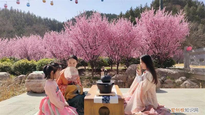 文化公园地铁站几号线