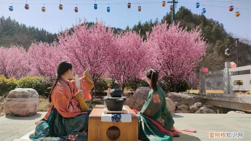 文化公园地铁站几号线