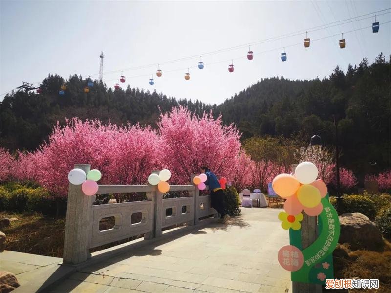 文化公园地铁站几号线