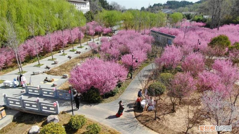 文化公园地铁站几号线