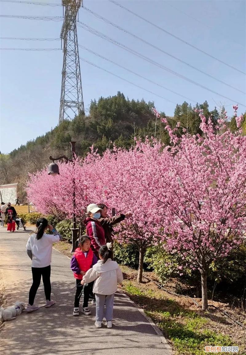 文化公园地铁站几号线