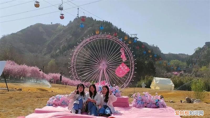 文化公园地铁站几号线