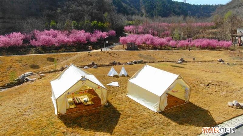 文化公园地铁站几号线