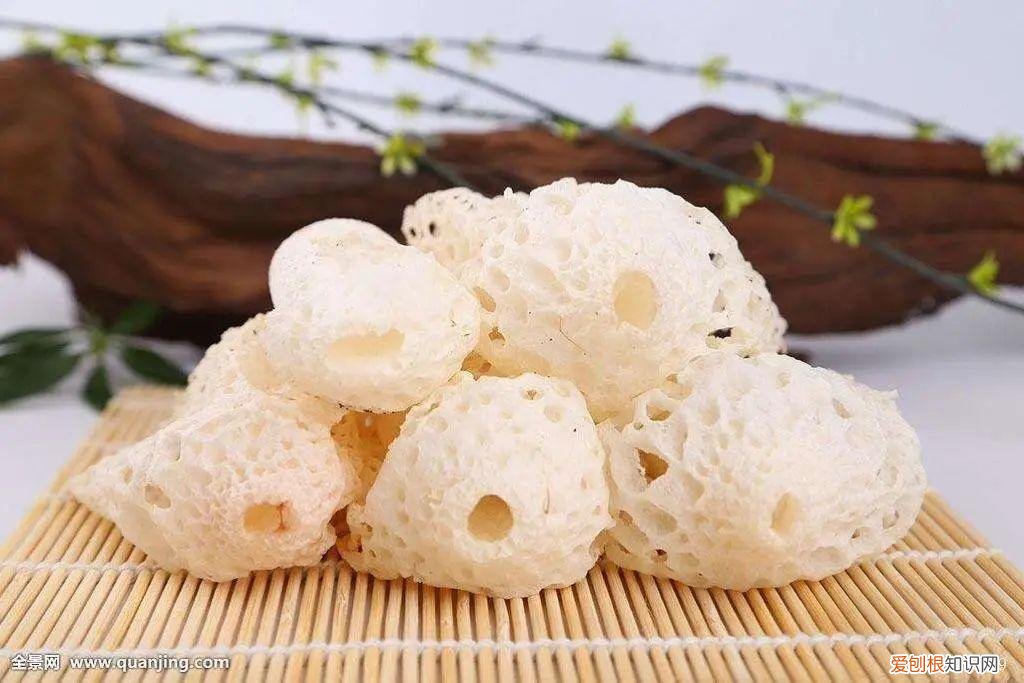 竹荪菌作用与功功效