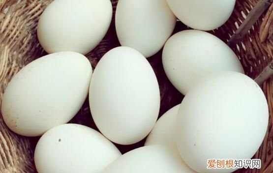 鹅蛋的最佳储存方法