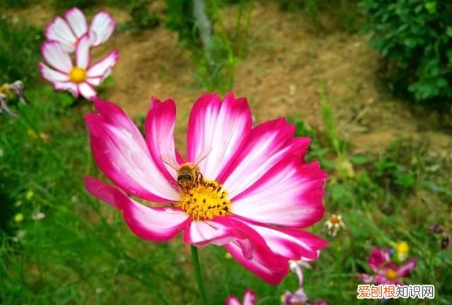 ps阴影效果怎么做,阴影效果该如何制作