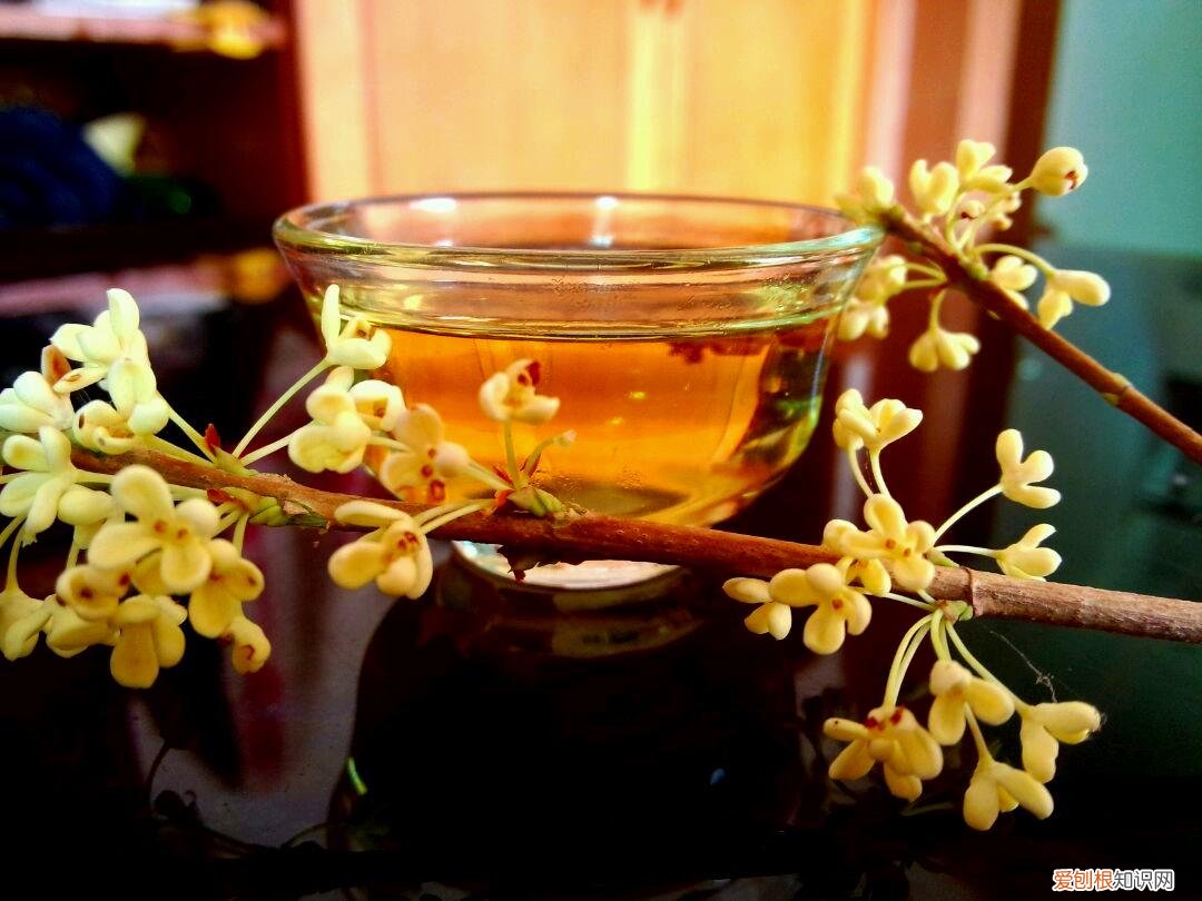 桂花酱的制作方法