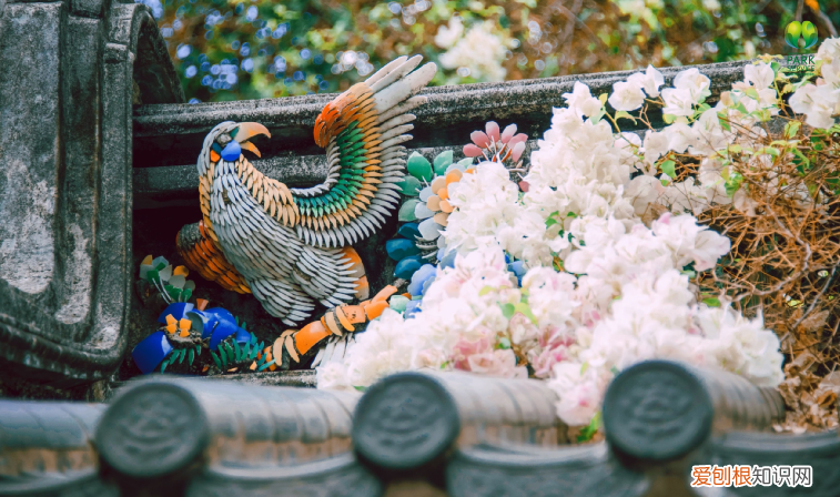 深圳园博园景点介绍