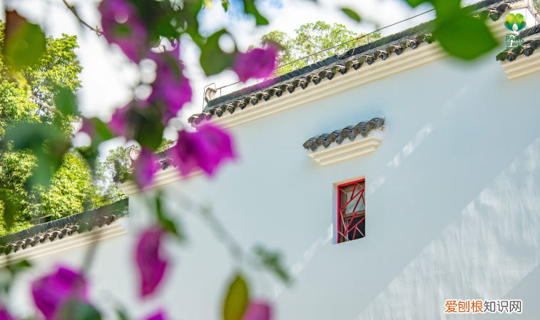 深圳园博园景点介绍