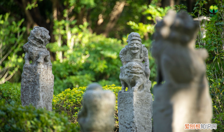 深圳园博园景点介绍