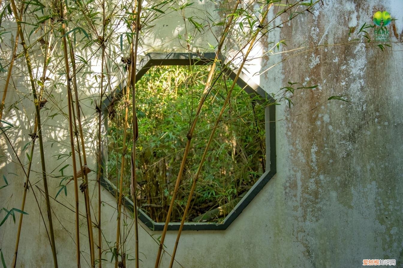 深圳园博园景点介绍