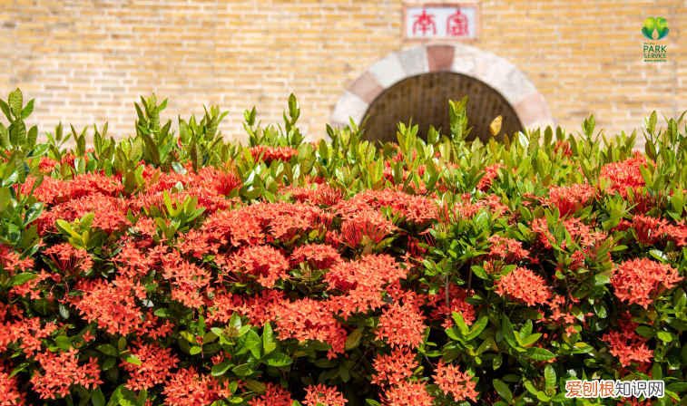 深圳园博园景点介绍