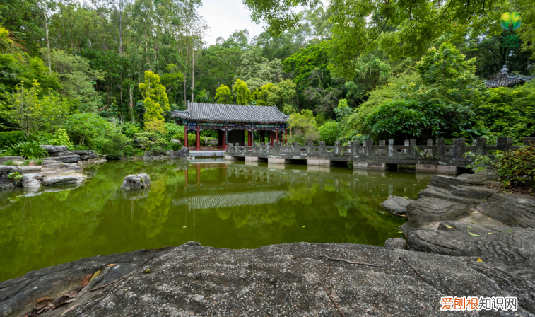 深圳园博园景点介绍